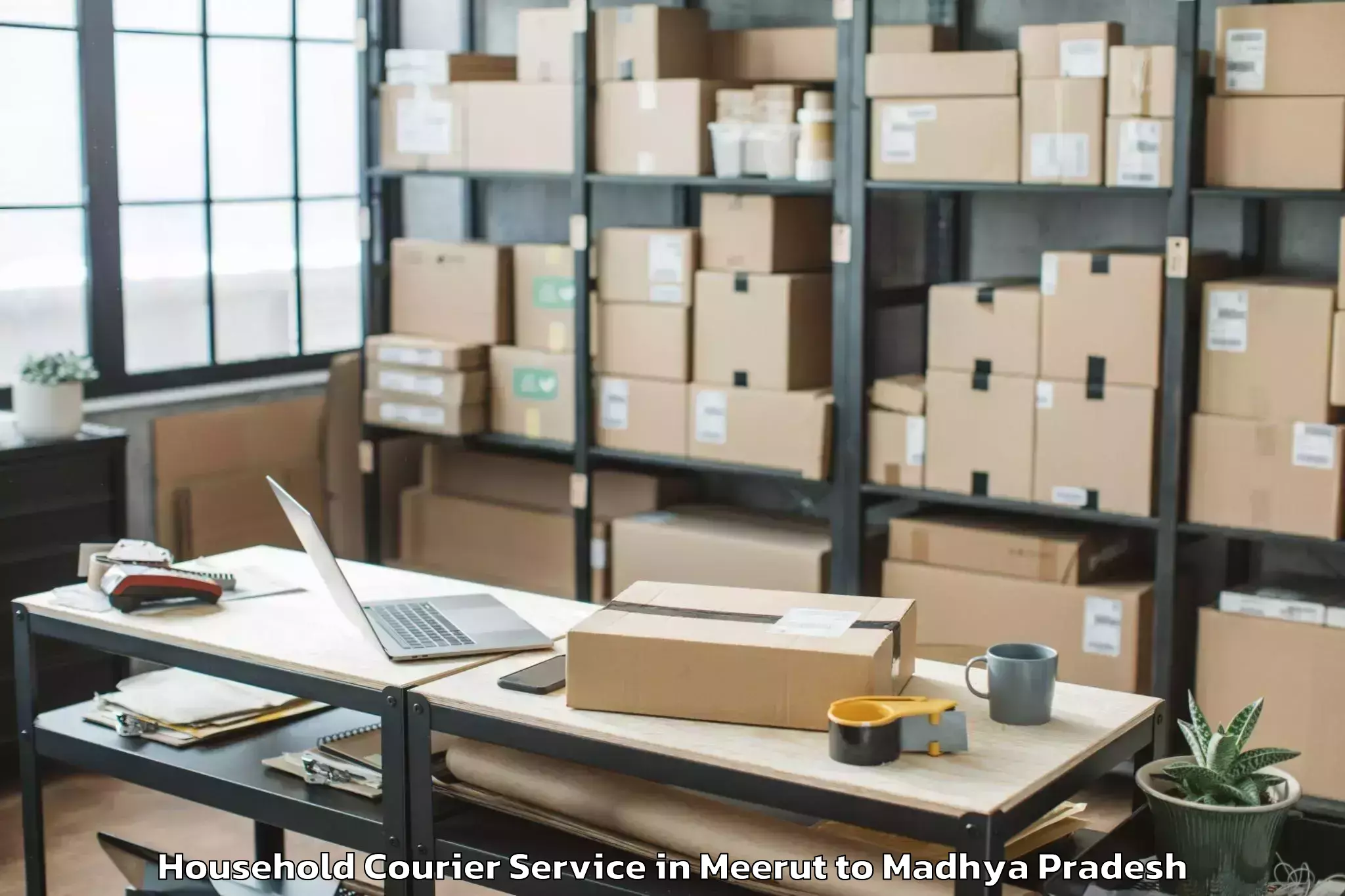 Book Meerut to Narsinghgarh Household Courier